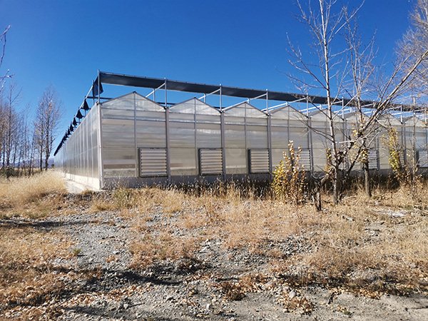 CFGET polycarbonate greenhouse project in Gansu with multiwall side panels and ventilation fans