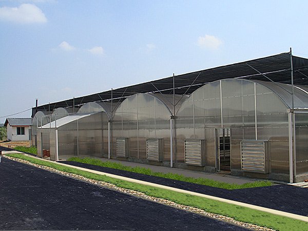 CFGET multi-span polycarbonate greenhouse project in Malaysia with side ventilation and exterior shade