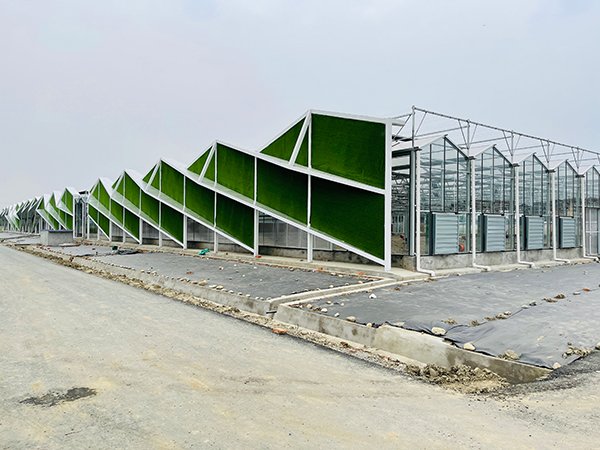 Existing CFGET glass greenhouse project with attached service areas, ventilation equipment and site drainage works