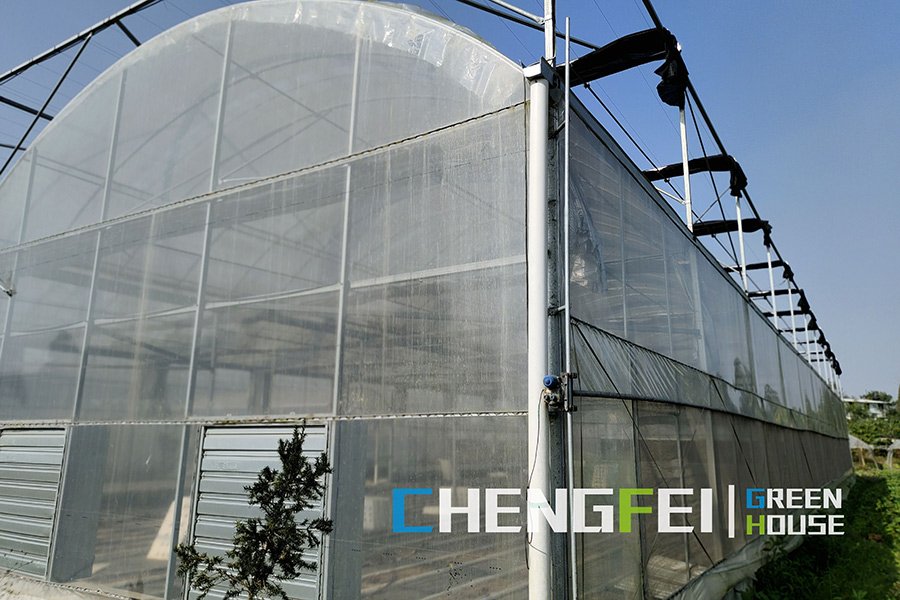 CFGET film greenhouse sidewall showing screened ventilation openings and roll-up interfaces