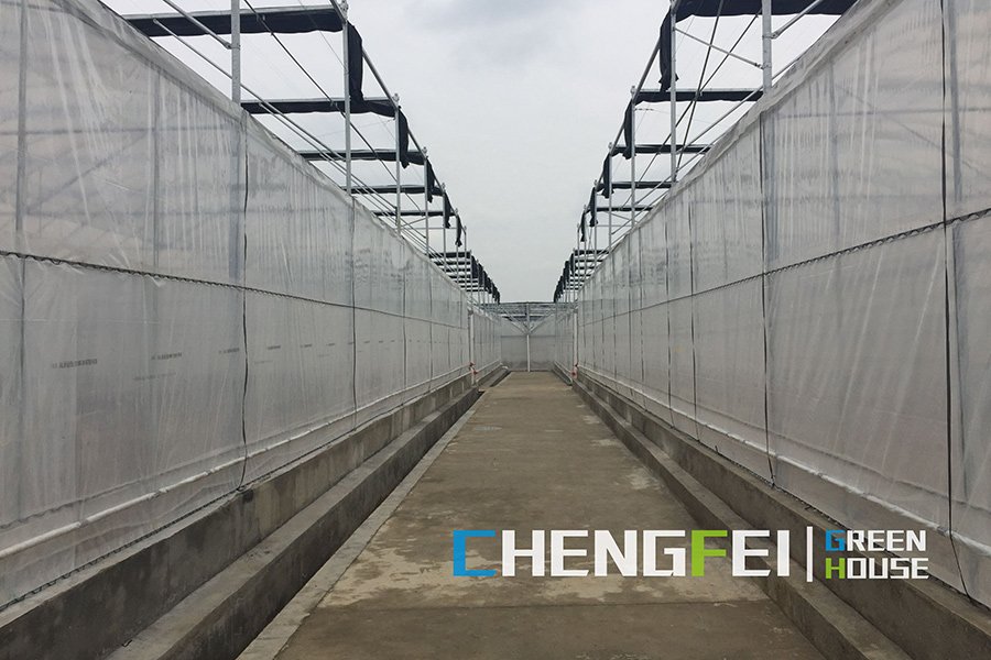 Roof and side ventilation openings in a CFGET multi-span film greenhouse before crop installation