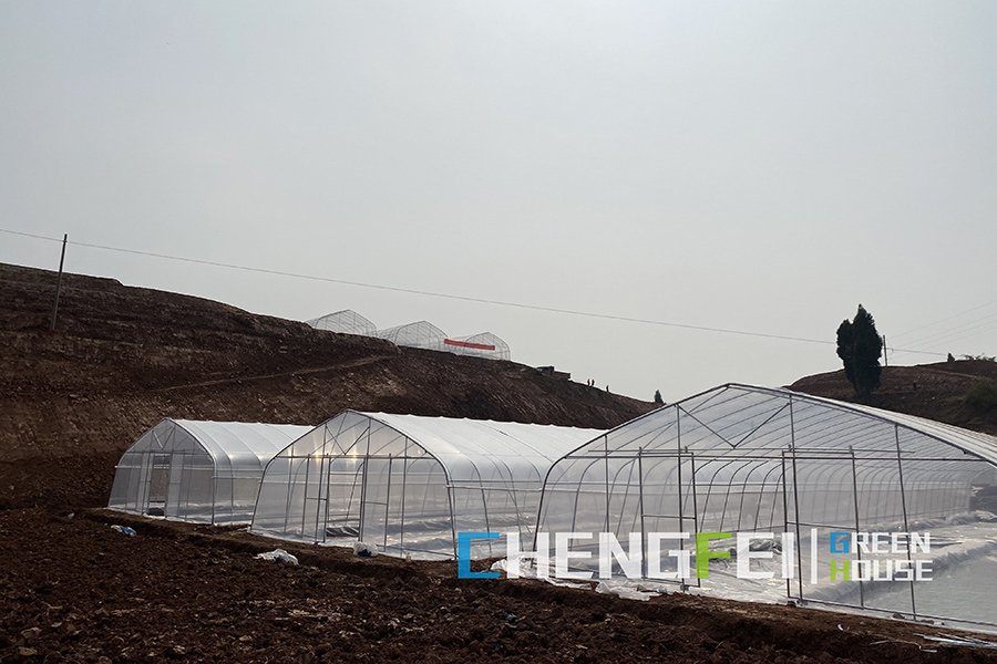 Existing CFGET multi-span film greenhouse exterior with galvanized columns, roof members, gutters and bracing visible