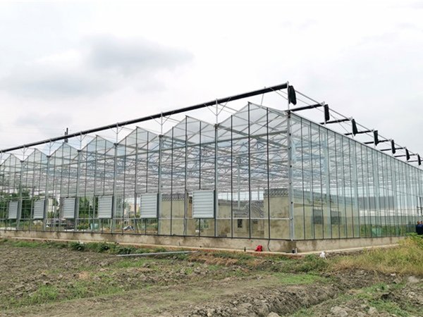 CFGET glass greenhouse project with roof vent drives and wall ventilation equipment
