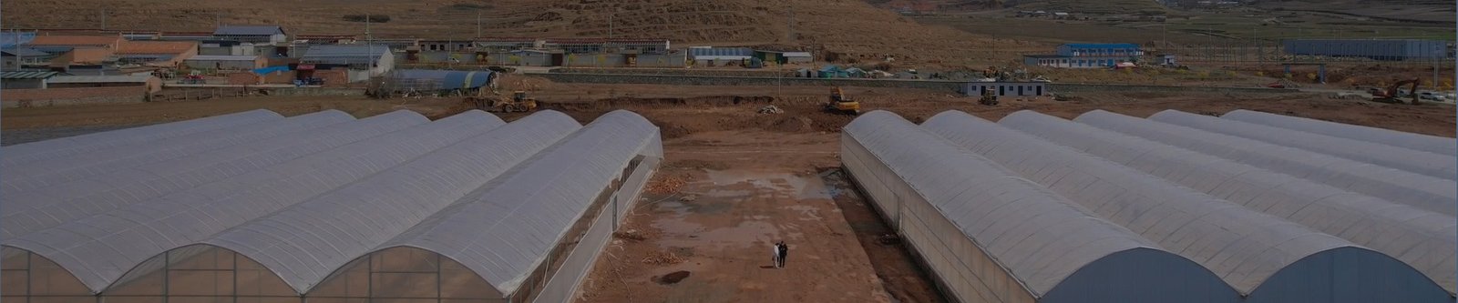 Rows of commercial tunnel greenhouses at a project site