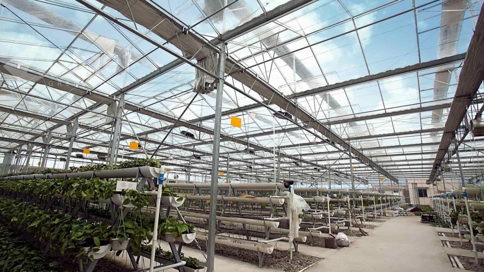 Hydroponic growing channels and service aisles inside a CFGET greenhouse project