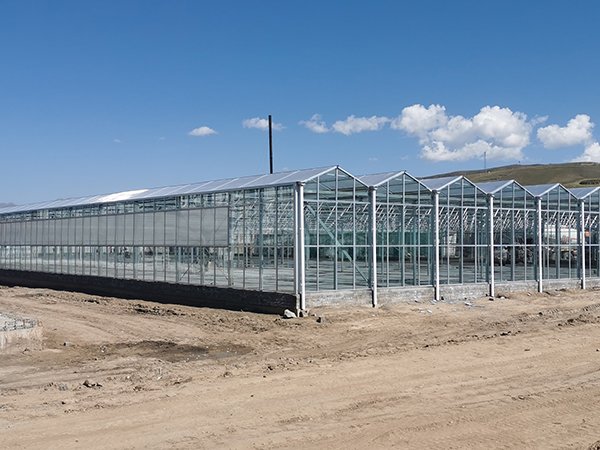 Commercial glass greenhouse structure on an exposed site