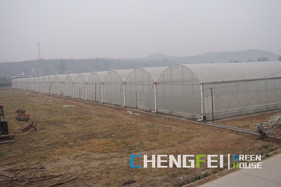 Existing CFGET multi-span greenhouse exterior showing connected bays and gutter lines