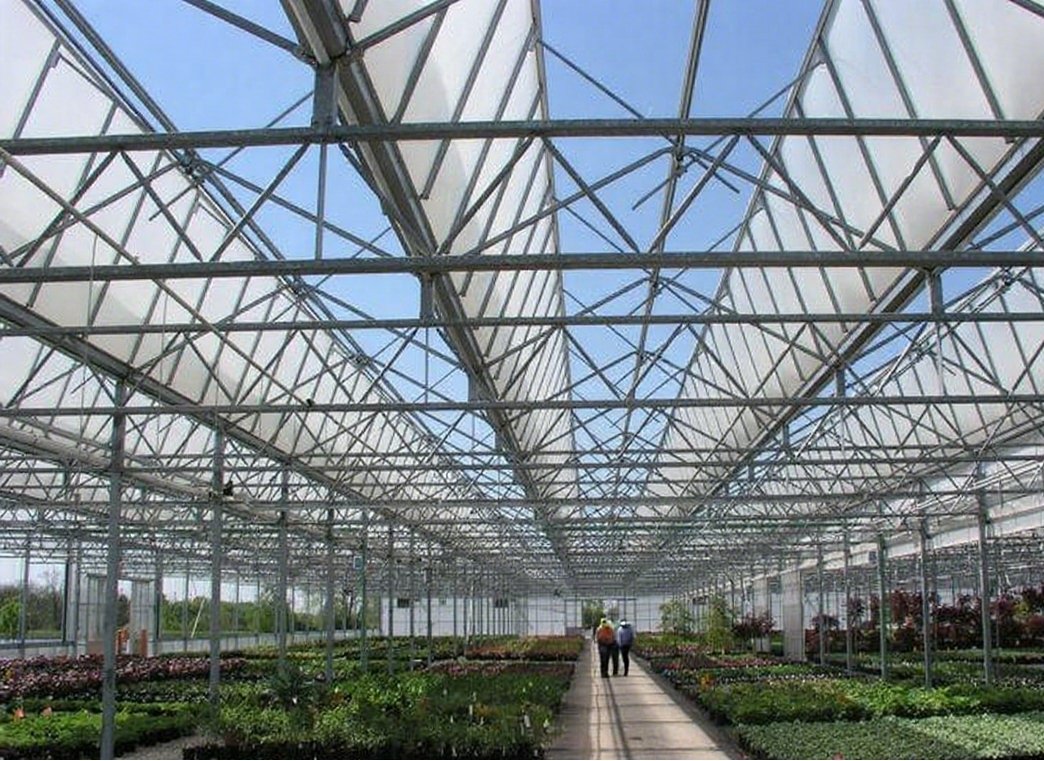 Interior of a multi-span greenhouse with open roof vents