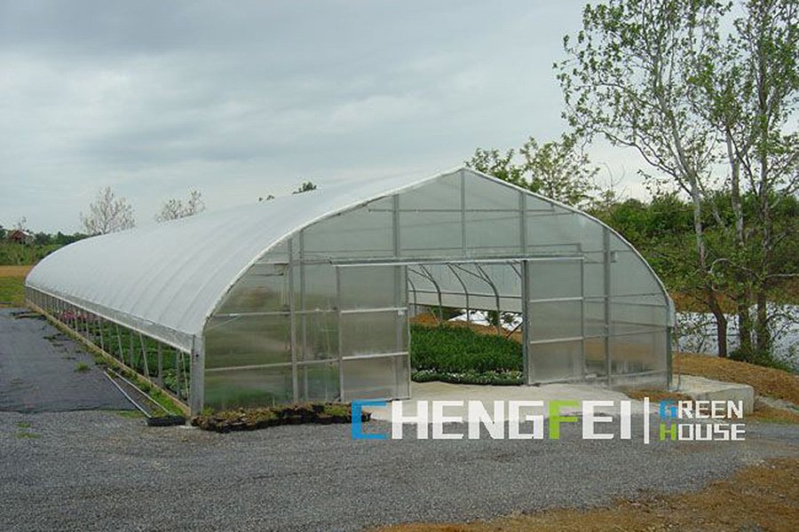 CFGET Gothic arch tunnel greenhouse with raised sides and end-wall opening