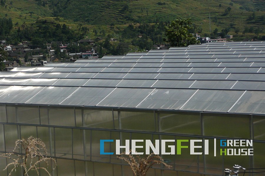 CFGET multi-span greenhouse with polycarbonate roof and wall panels