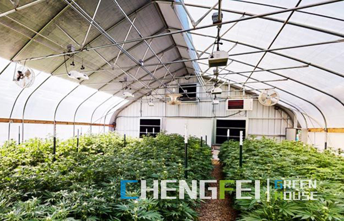 Blackout-greenhouse-for-flower