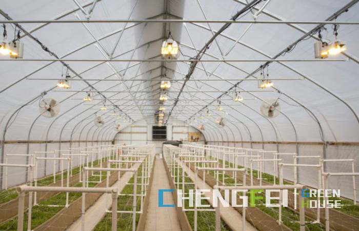 Blackout-greenhouse-for-seedling