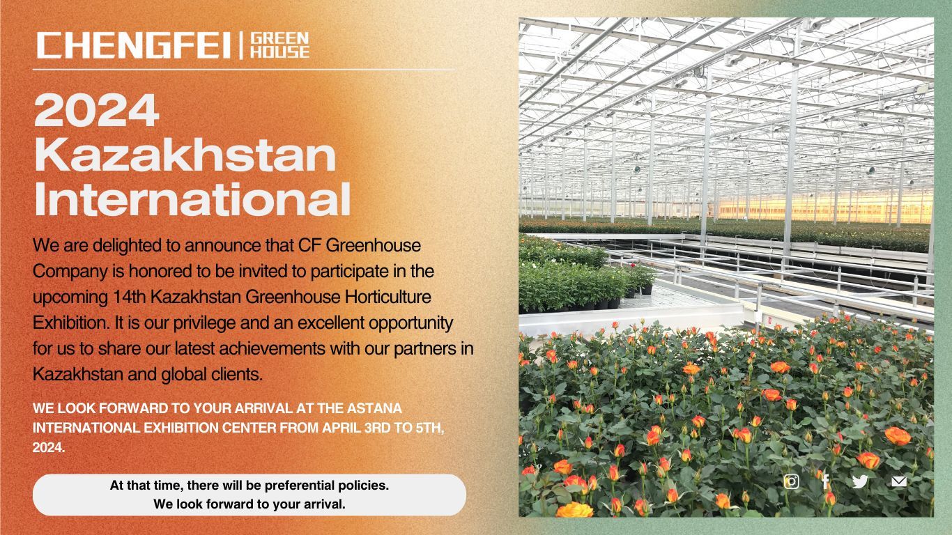 Chengfei Greenhouse 2