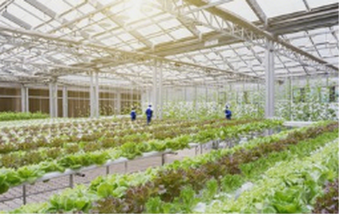 ClimateSmartAgriculture
