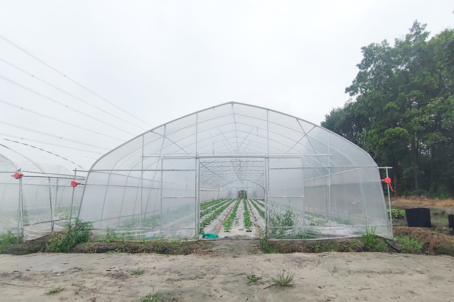 Commercial Greenhouse