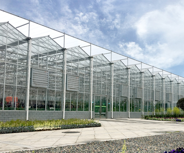 Glass Greenhouse 5