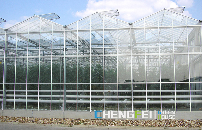 Glass-greenhouse-(2)