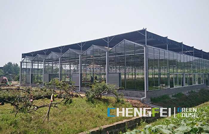 Glass-greenhouse-4