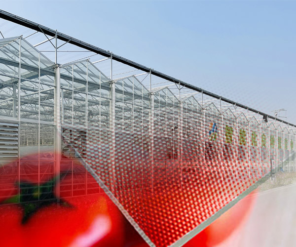 Glass greenhouse covering material 2