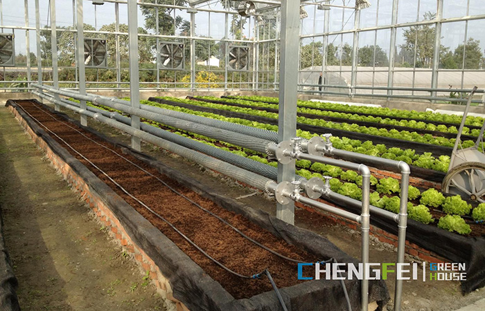 Glass-greenhouse-for-vegetables