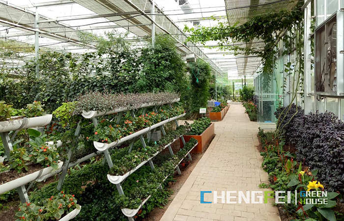 Glass-greenhouse-for-vegetables