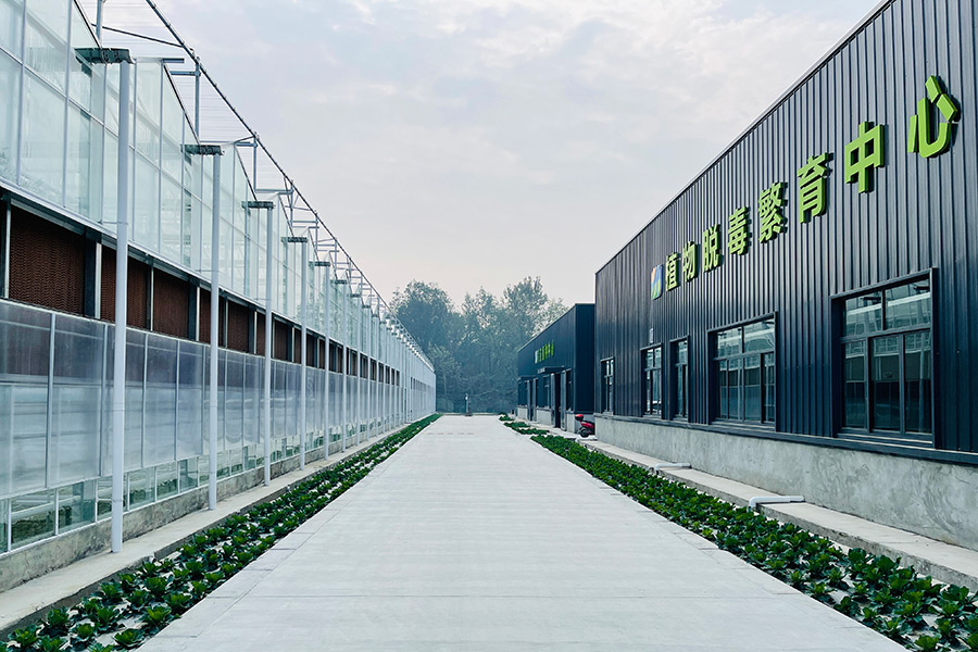 Glass Greenhouse