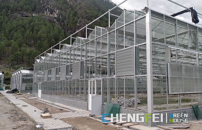 Glass-greenhouse