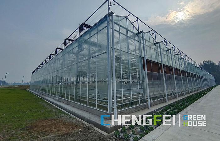 Glass-greenhouse