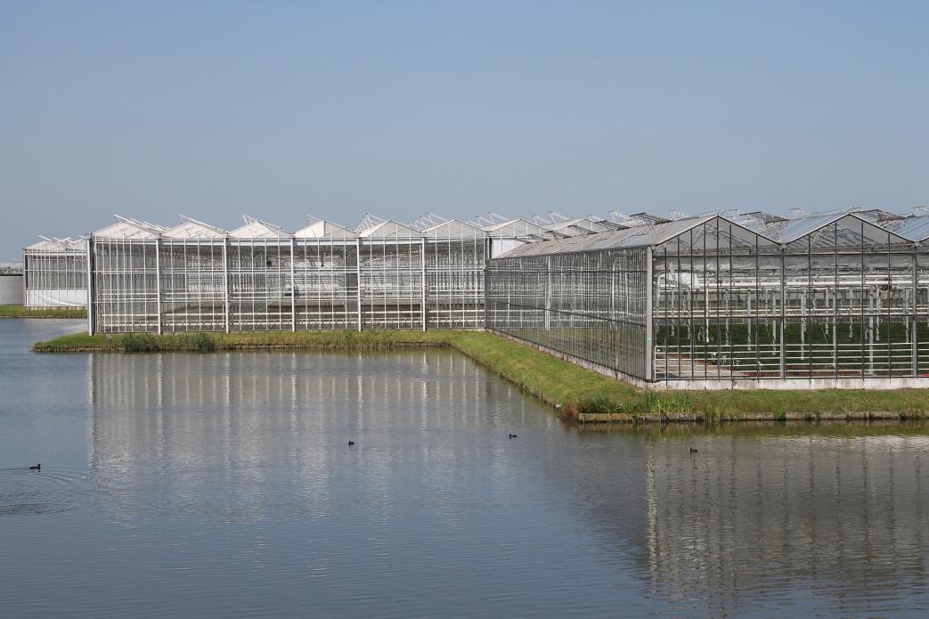 GlassGreenhouse