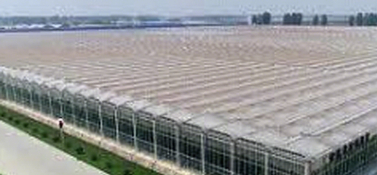 GreenhouseExport