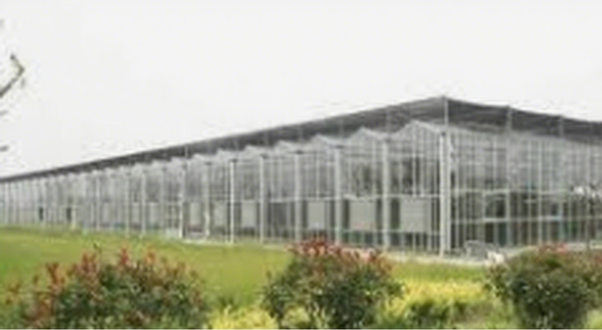 GreenhouseInvestment