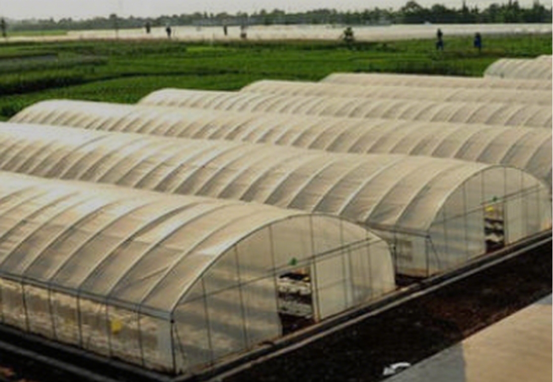 GreenhouseMaintenance