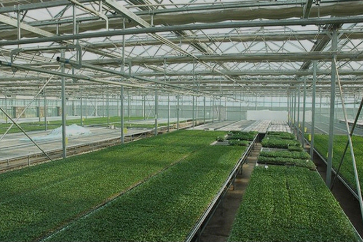 GreenhouseManagement