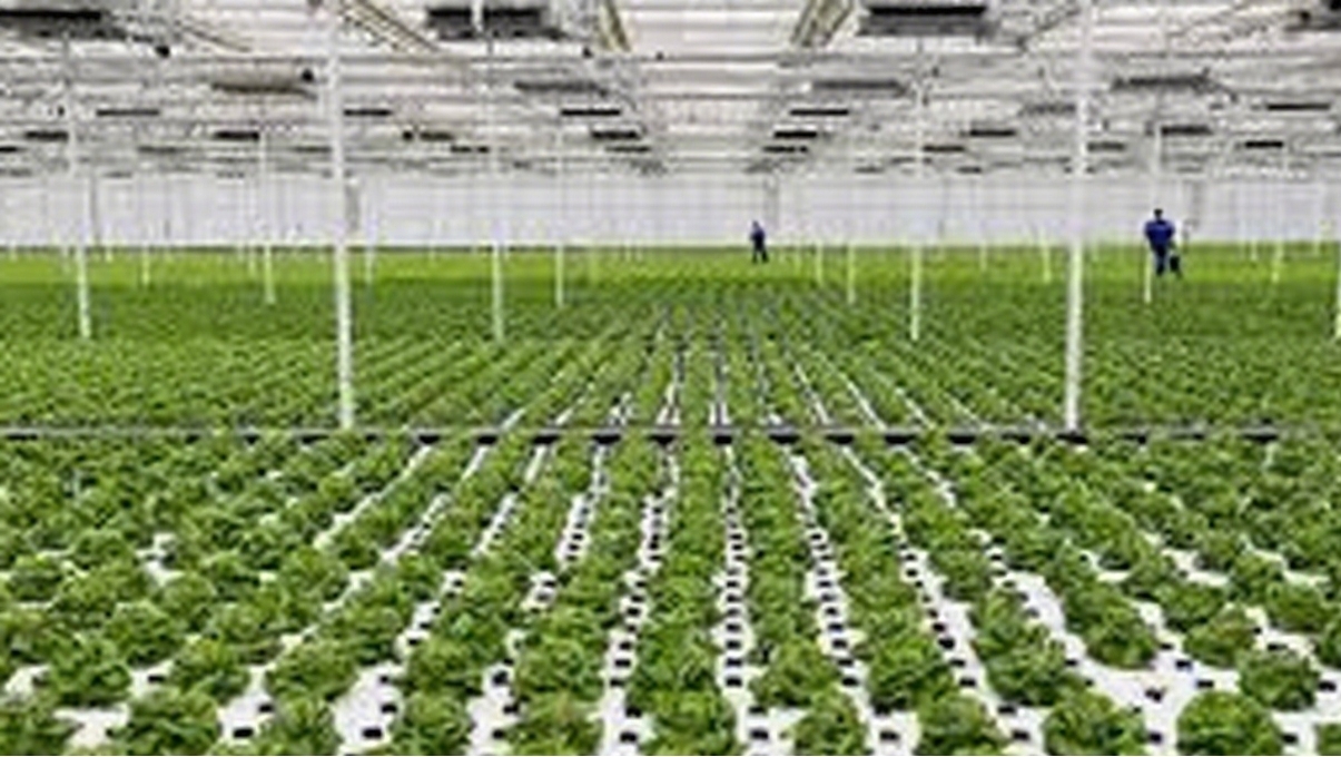 GreenhouseSelection