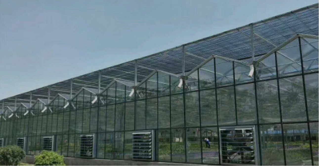HorticultureInvestment