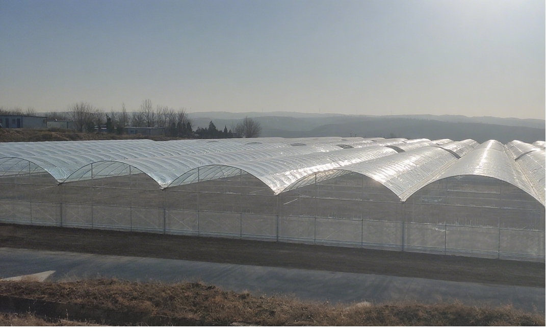 HydroponicGreenhouseCost