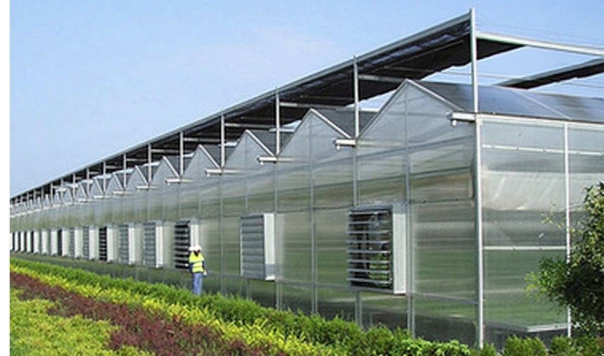 HydroponicSolutions