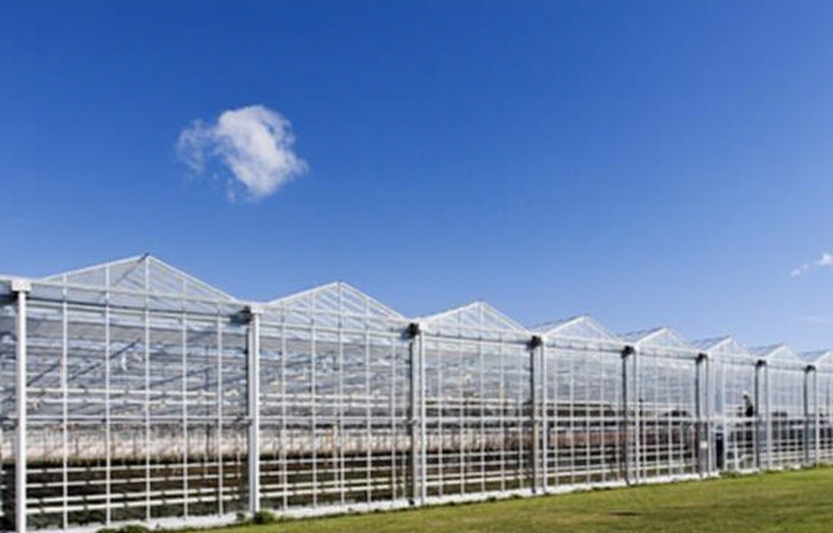 ModernFarming