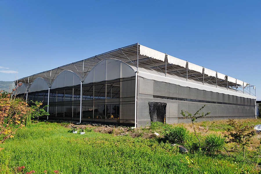 Multi-span Light Deprivation Greenhouse