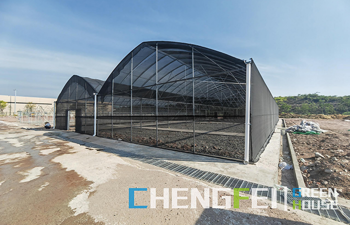Multi-span-film-greenhouse