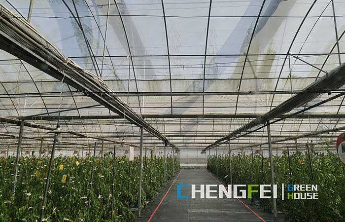 Multi-span-plastic-film-greenhouse-for-vegetables