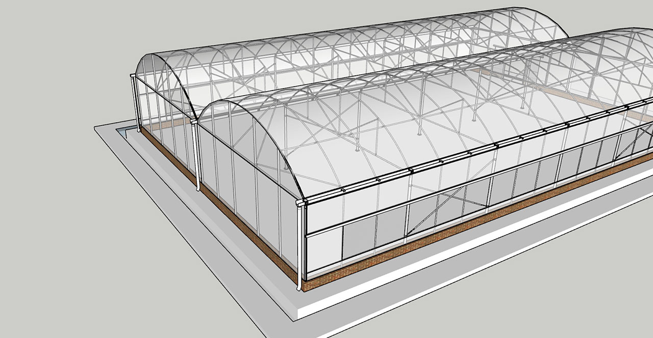 Multi-span-plastic-film-greenhouse-structure-(2)
