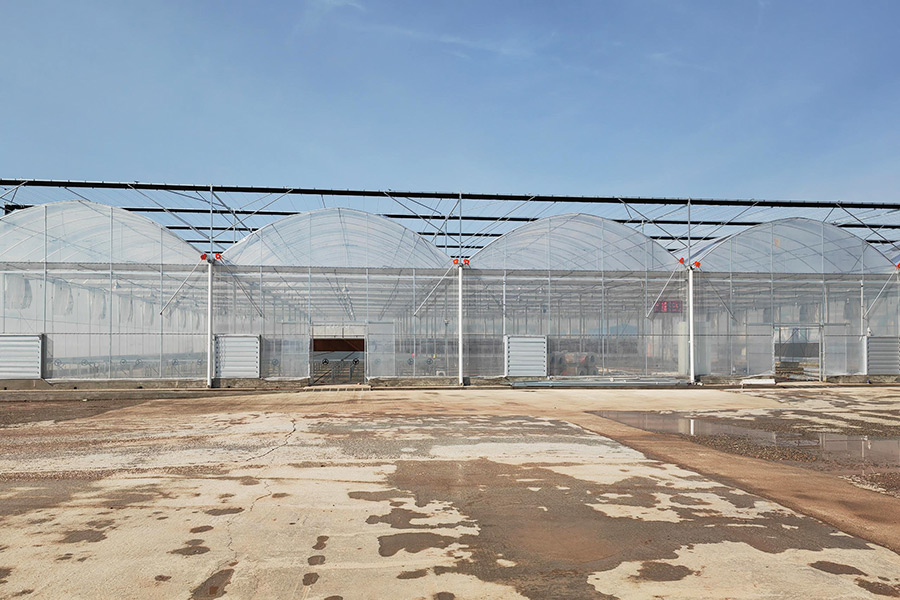 Other Greenhouse
