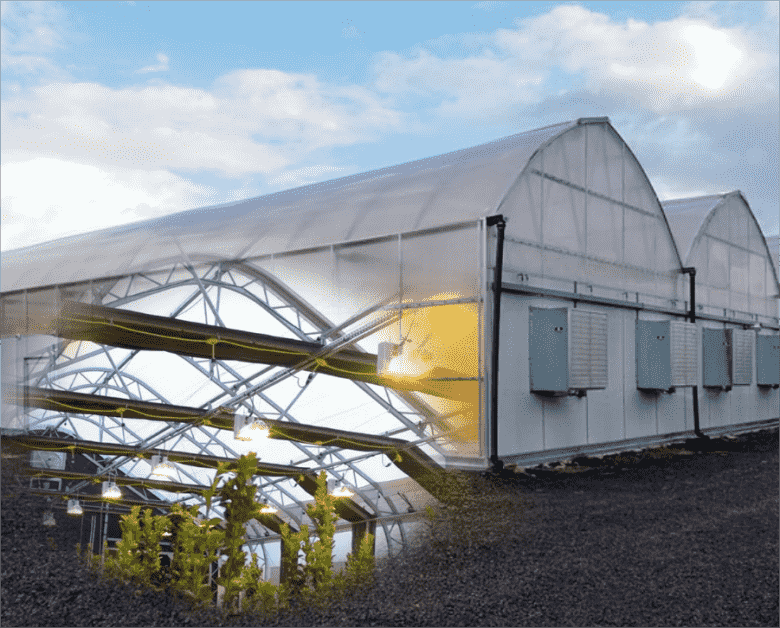 P3-Light deprivation greenhouse