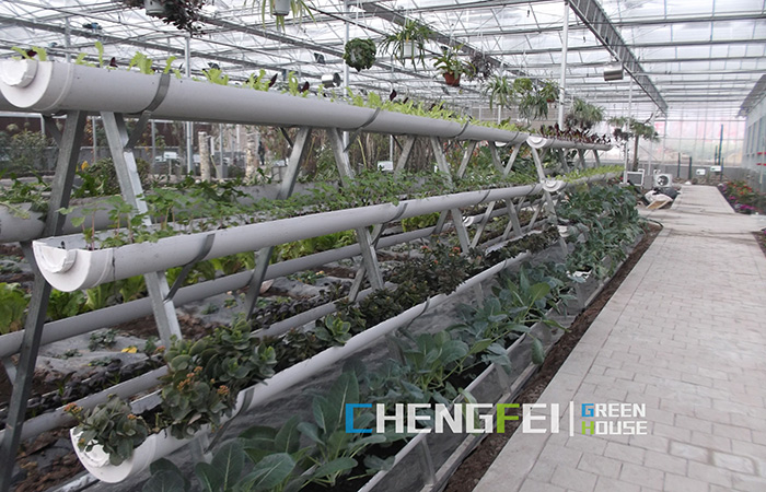 PC-sheet-greenhouse-for-hydroponics