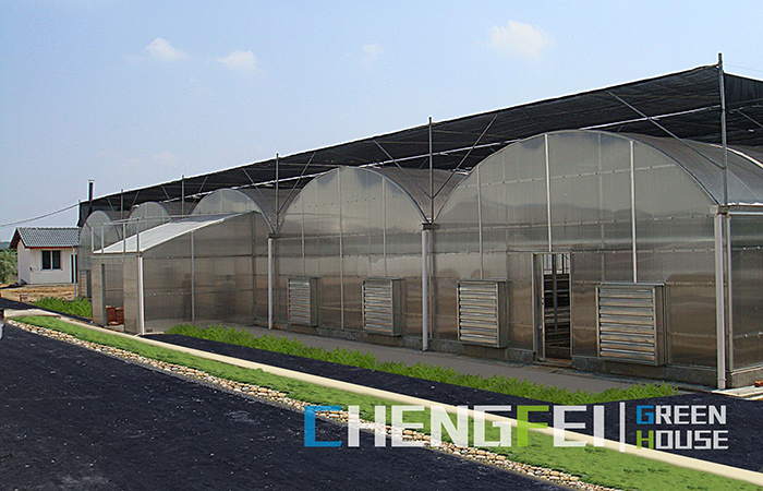 PC-sheet-greenhouse