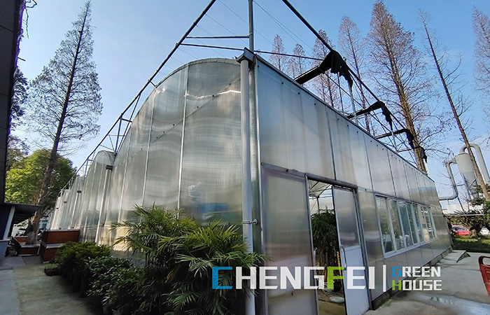 Polycarbonate-sheet-greenhouse