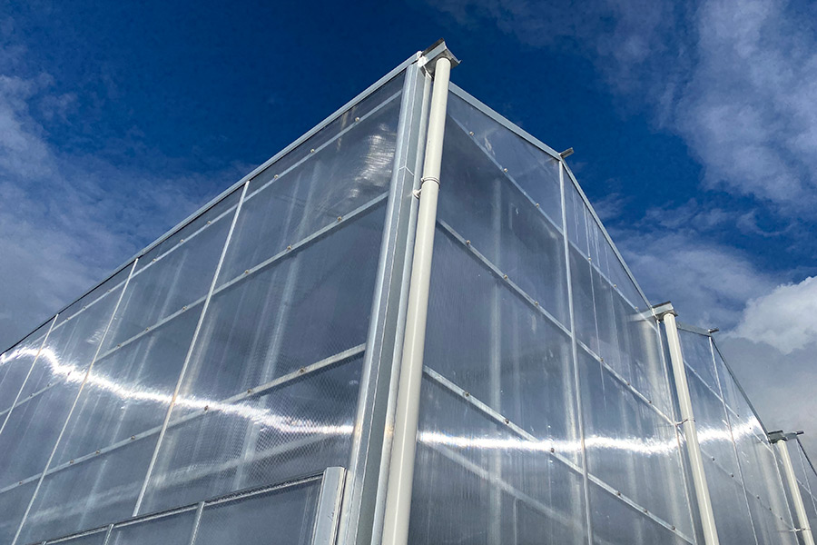 Polycarbonate Greenhouse