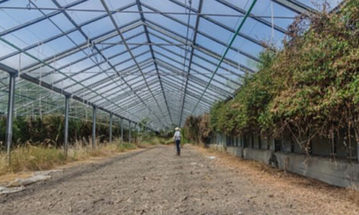 PolycarbonateGreenhouses