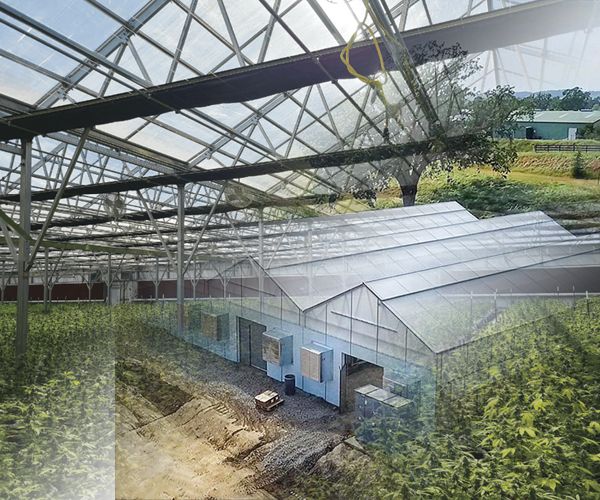 Ridge and Furrow Greenhouses2